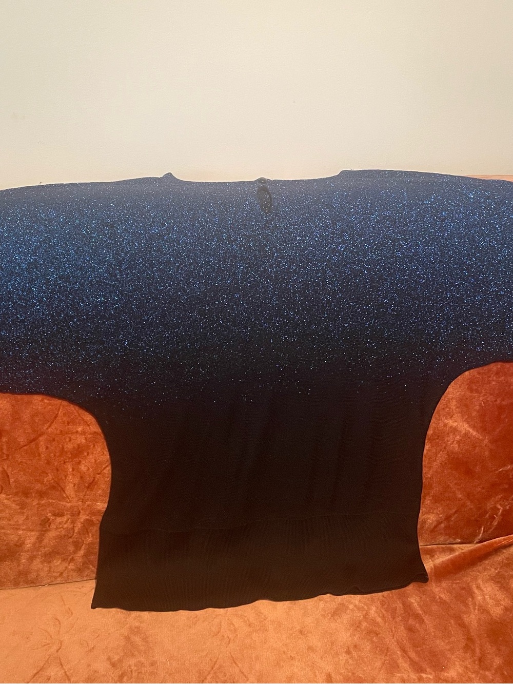 NY Collection Sparkle Knit Top in Navy and Black